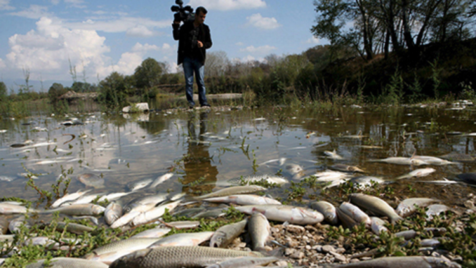 Hromadný úhyn ryb v Moravě: Jen kysíkový deficit