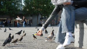 V Olomouci platí nová vyhláška o udržování pořádku a čistoty