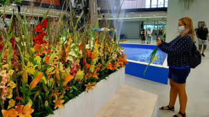 Letní Flora odstartovala!