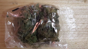 Olomoucký TOXI tým dopadl dva dealery drog