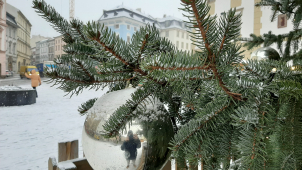 24. prosinec, den plný tradic. Jaké to jsou?