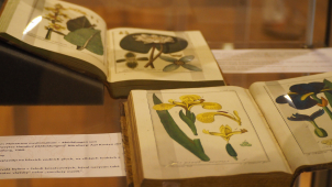 Pevnost poznání vystaví vzácné herbáře z Vědecké knihovny Olomouc