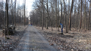 V Žebračce šlo k zemi dvacet topolů, zůstaly v místě na zetlení