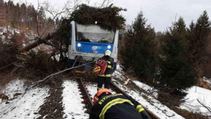 Účet víkendového vichru: Popadané stromy i poničené střechy