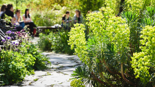 Botanická zahrada UP představí flóru Krymského poloostrova