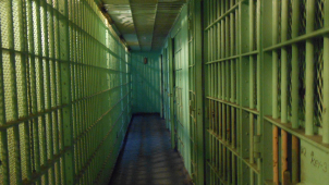 Od krádeže nanuků přes vyloupenou benzinku až k pěti letům za mřížemi