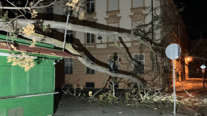 Na stánek u tržnice spadl strom! Radnice radši vykácí i okolní dřeviny