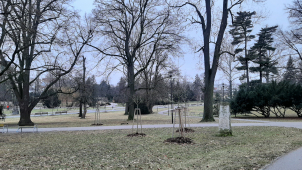 Začátek týdne v kraji bude teplejší, než týden minulý