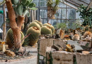 Sbírkové skleníky ve Smetanových sadech se znovu otevřou
