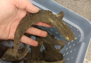 Archeologové objevili u Kojetína bronzový poklad