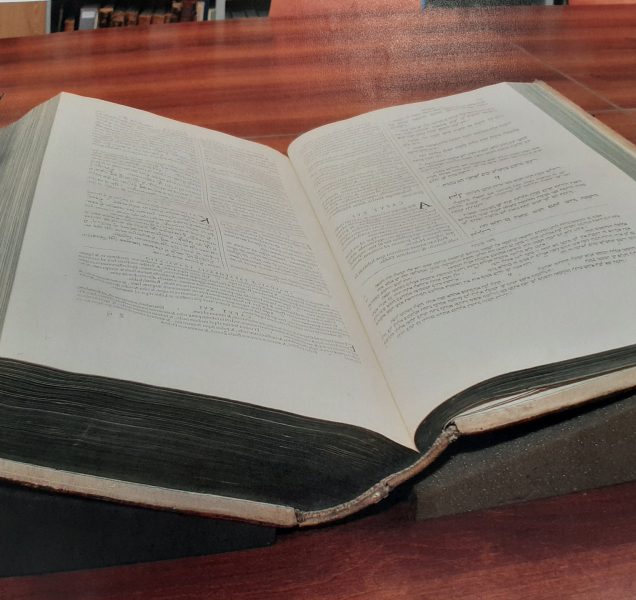 Bible, ukradené v roce 1996 z Vědecké knihovny, se našly