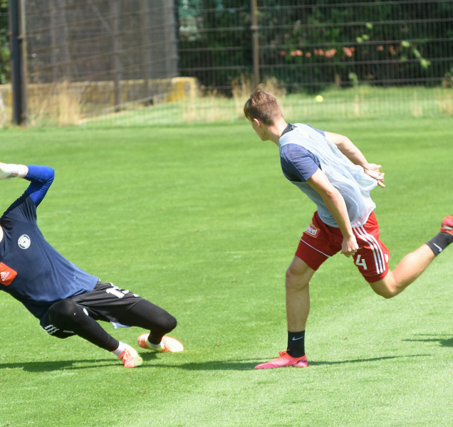 Sigmu čeká první příprava, doma s Rosicemi