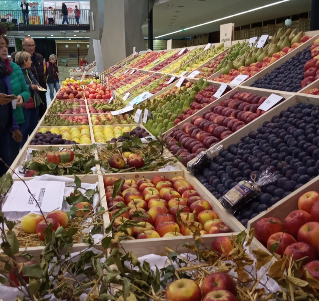 Na Floru se vracejí Selské trhy