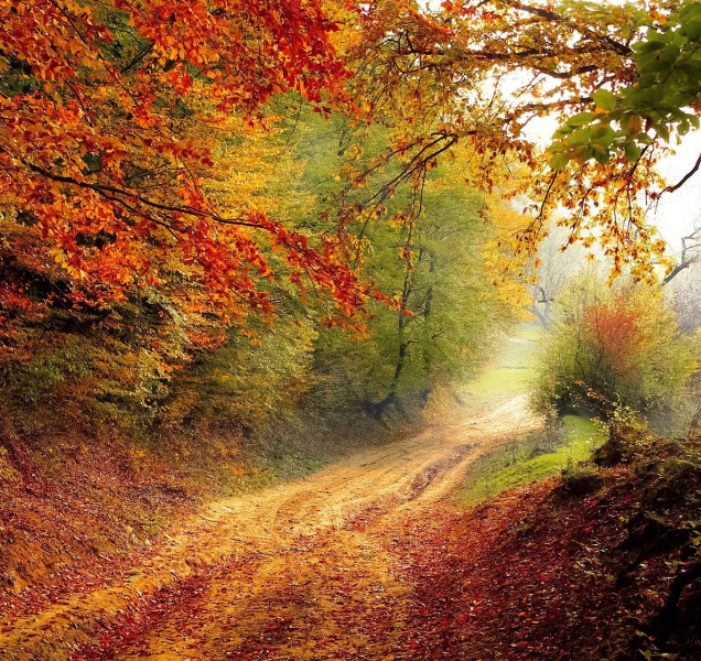 Teploměr v kraji dnes ukáže maximálně 17 stupňů Celsia