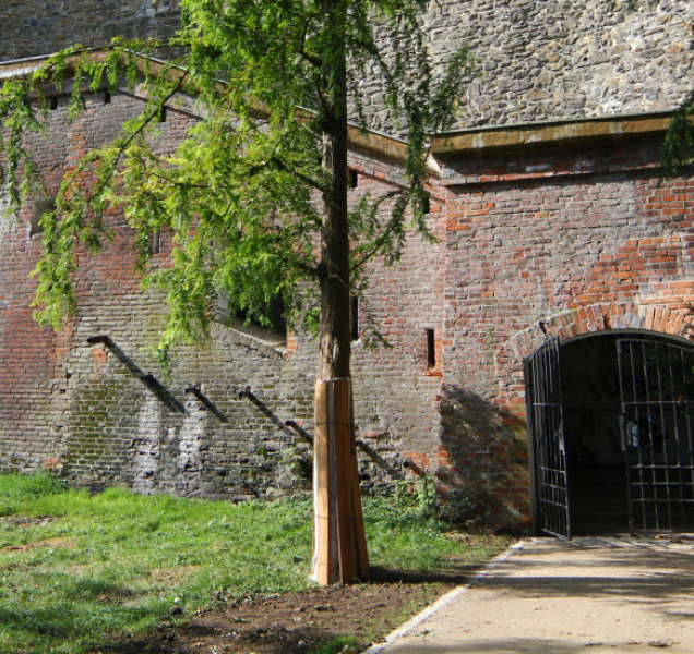 Čtvrt milionu z rozpočtu dalo město do oprav historických památek