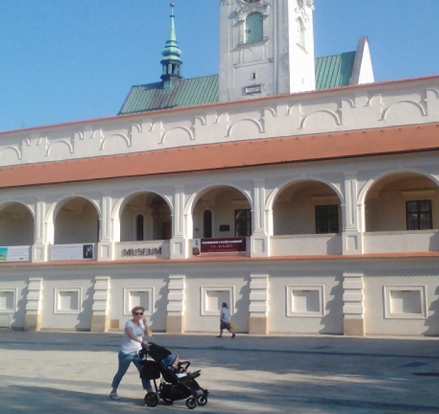 Prostějovské Muzeum dostalo pokutu. Porušilo zákon o ochraně osobních údajů