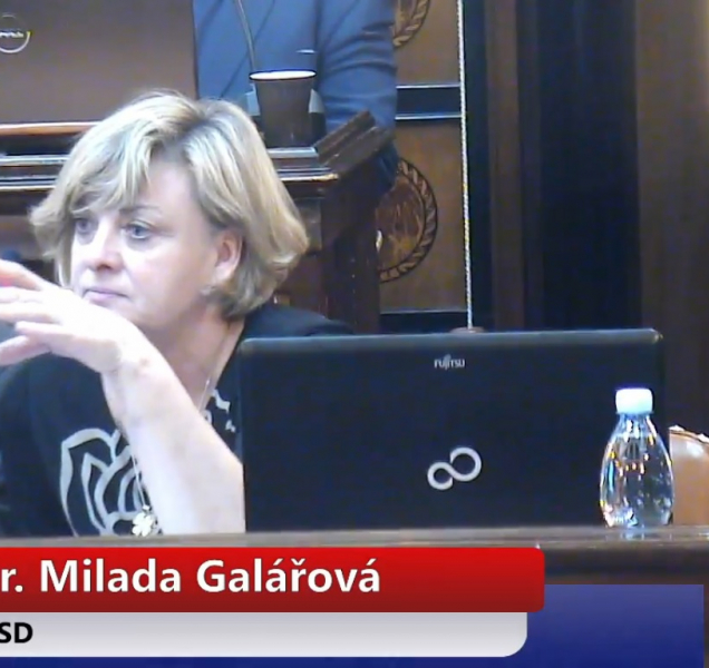 Koho bude volit prezidentem Milada Galářová?