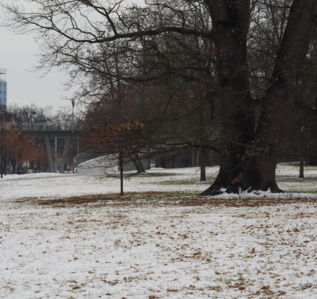 Předpověď v kraji: Očekává se sníh i déšť a teploty nad nulou