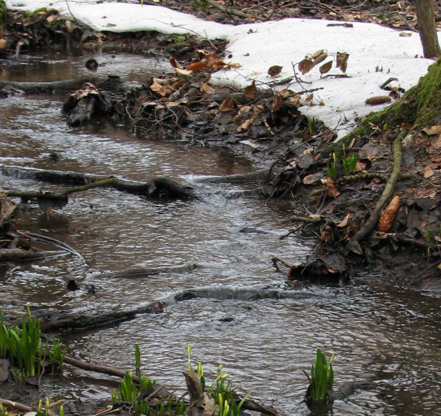 Povodí Moravy trápí nedostatek vody, je málo sněhu