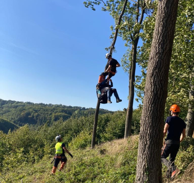 Paraglidisté, uvěznění v korunách stromů, zaměstnali záchranáře