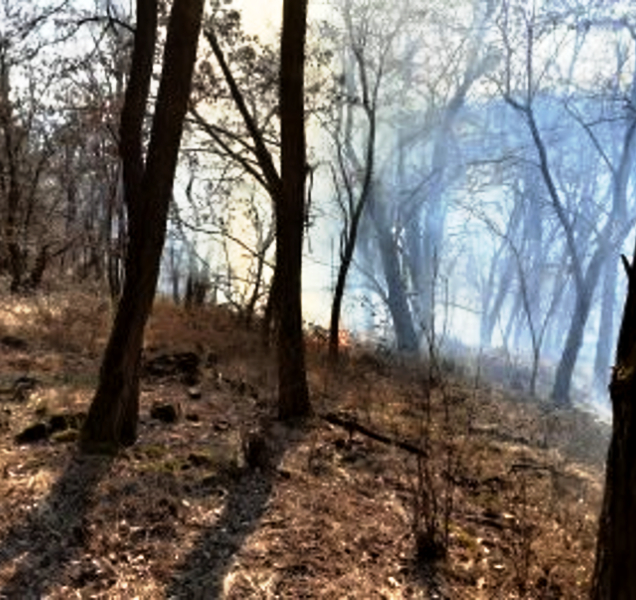 V neděli měli hasiči práce až nad hlavu