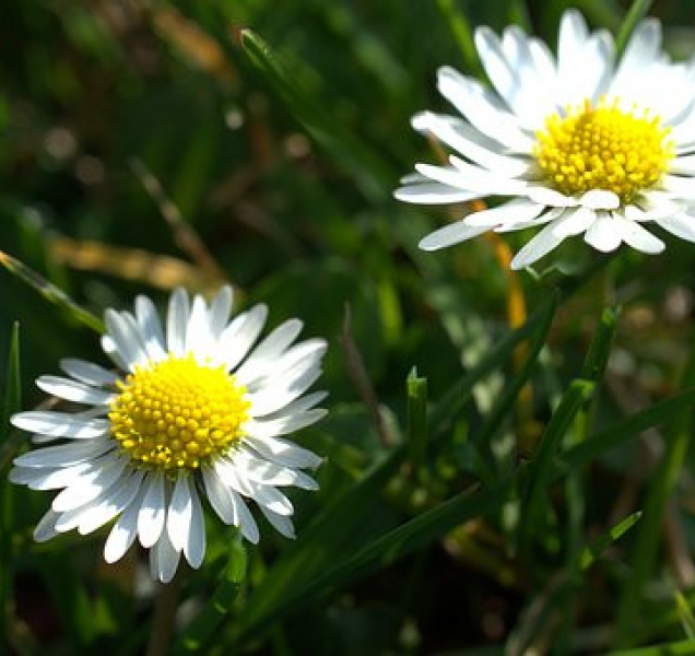 Velikonoční víkend bude slunečný