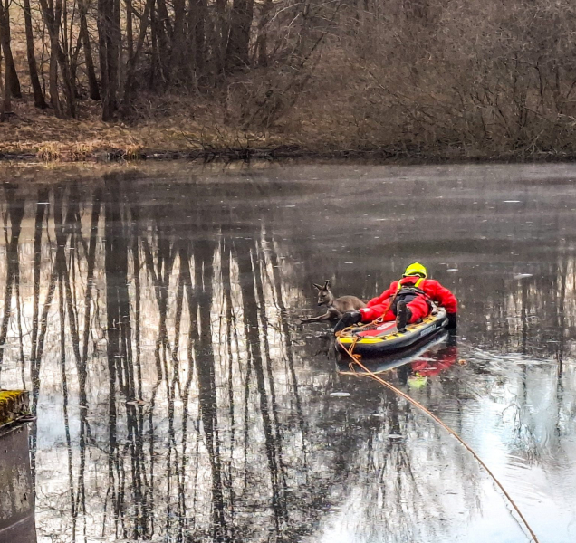 Odvážní hasiči se vydali na tenký led