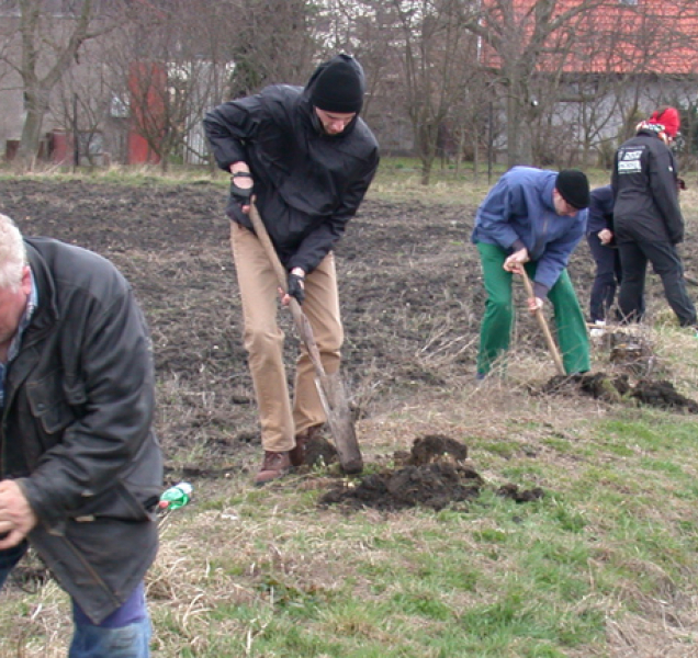 Šternberk hledá patrony stromů v nové aleji, přispějí charitě