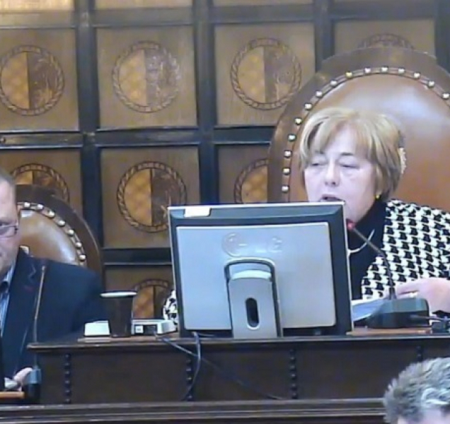 ČSSD se distancovala od výroků prostějovské primátorky Raškové