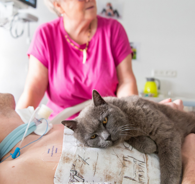 Léčí kočka i pes. Jonáš a Anička čekají ve Fakultce!