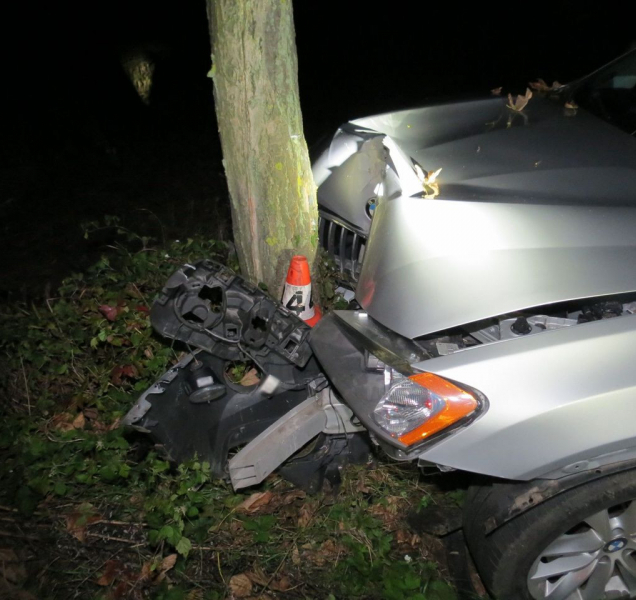 U Třeštiny na Šumpersku srazilo osobní auto divoké prase