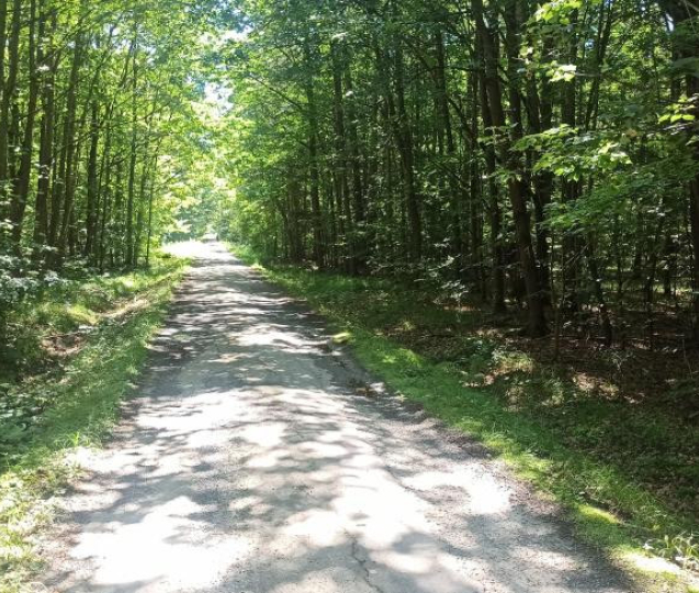 Pozor! Zákaz vstupu do Pomoraví, nebezpečí téměř všude