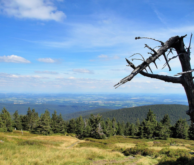 Injekce turistickému ruchu v Jeseníkách, díl druhý