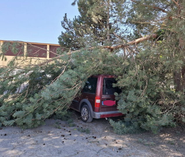 Hasiči v kraji vyjížděli kvůli větru k desítkám událostí