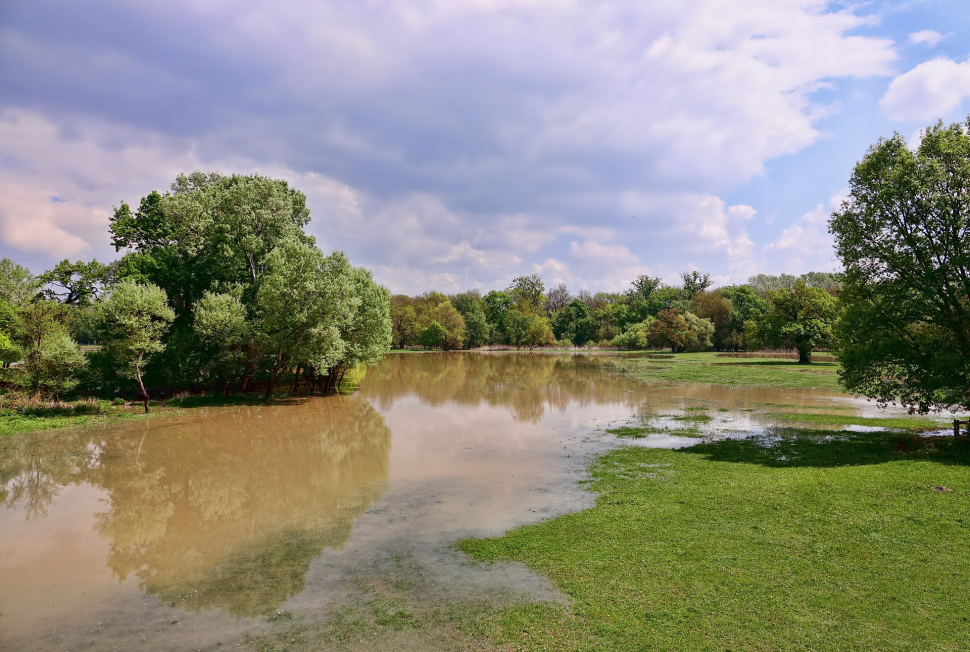 Olšany vybudují protipovodňový park