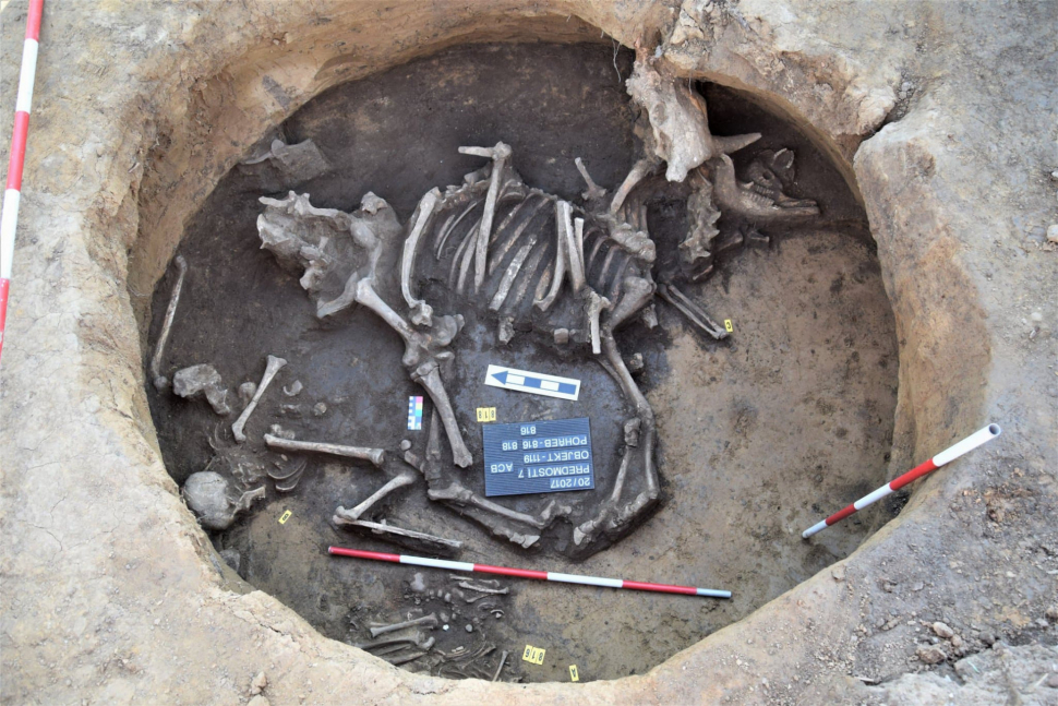 Archeologové pod budoucí dálnicí našli ostatky lidí i zvířat