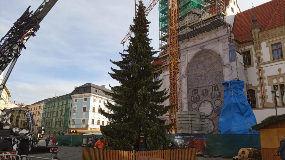 Vánoční smrk do Olomouce přijede v neděli
