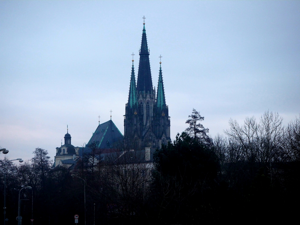 Olomouc bude mít strategii, ke zmírnění dopadů klimatických změn