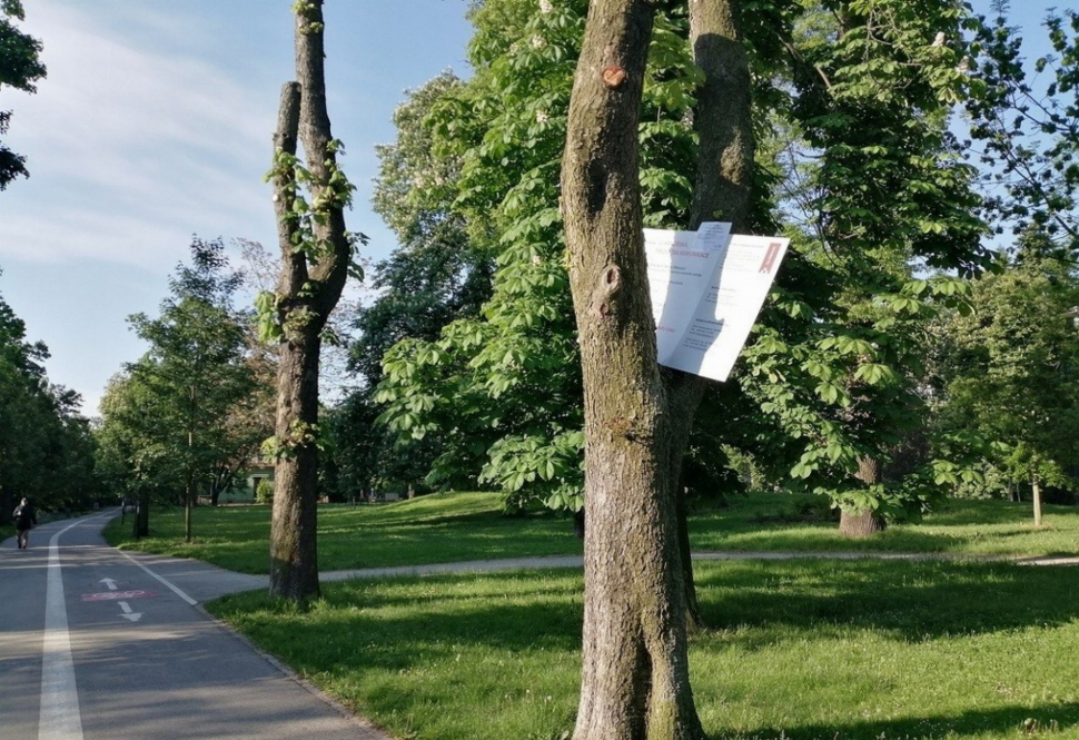 Olomoučtí strážníci na stromě v parku našli stavební povolení