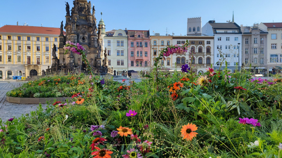Centrum Olomouce vyzdobily květiny