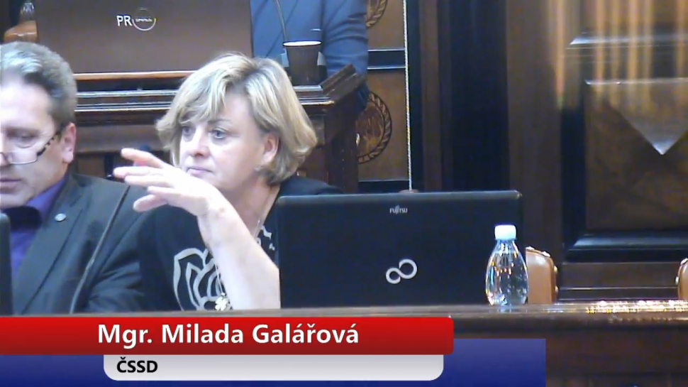 Koho bude volit prezidentem Milada Galářová?