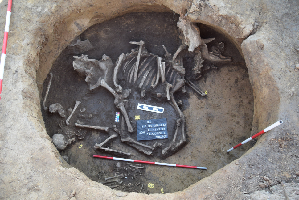 Archeologové ukončili výkopy na plánované stavbě D1. Co našli?