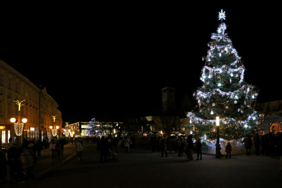 Občané Prostějova vybírají jméno vánočního stromečku