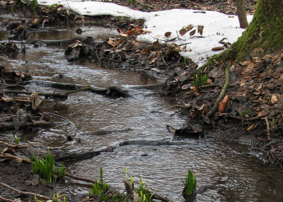 Povodí Moravy trápí nedostatek vody, je málo sněhu