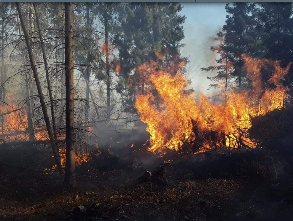 Mezi Pohořany a Jívovou hoří les, situaci komplikuje vítr