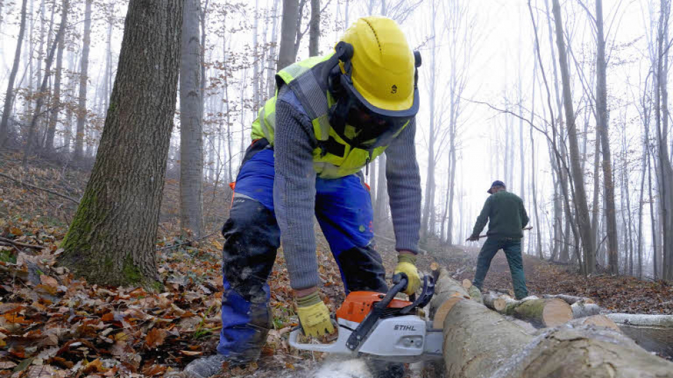 Kůrovcová kalamita: Ministerstvo připravilo pro vlastníky lesů seznam opatření 