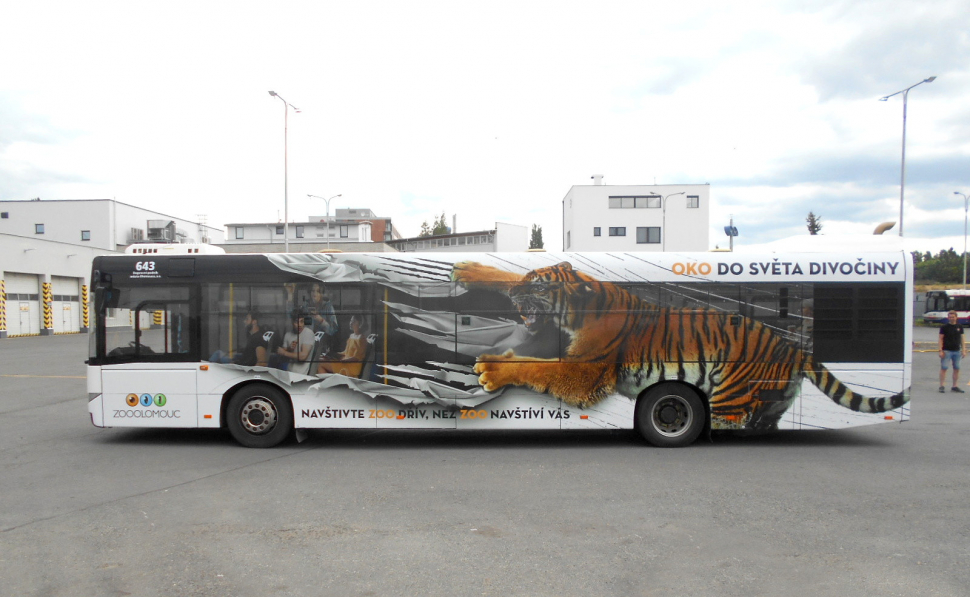Ulicemi města se prohání tygr z olomoucké zoo