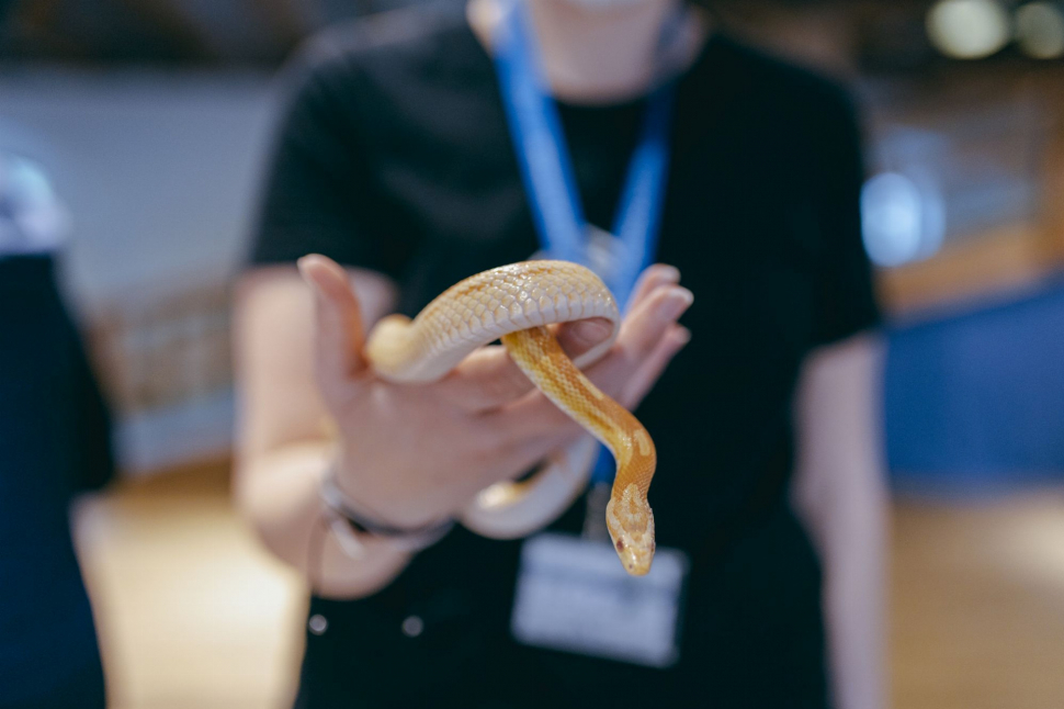 Chcete poznat ty nejjedovatější hady a štíry na světě?
