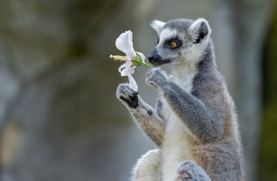 Fotografická výstava mapuje práci ošetřovatelů a chovatelů v zoo