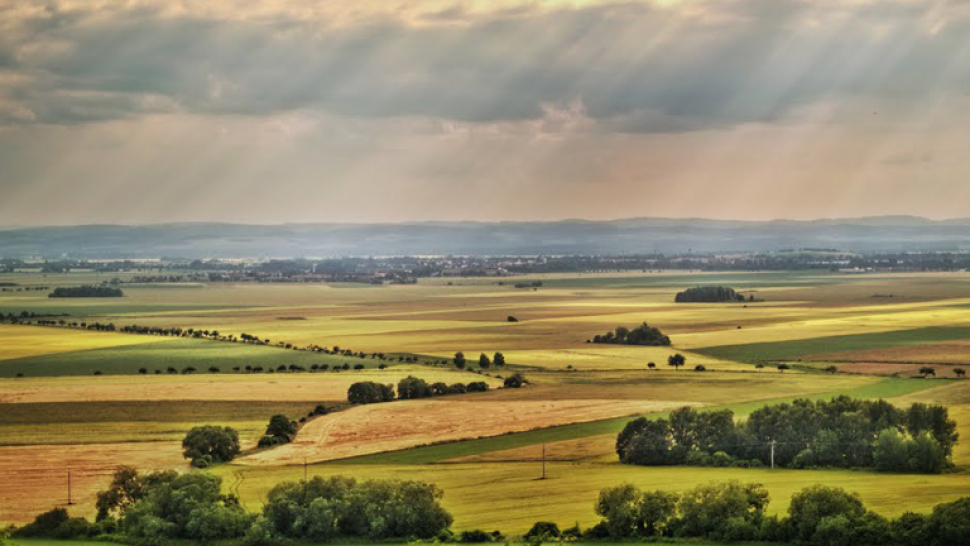 Olomouc: Rada schválila reformu smluv k využití zemědělských pozemků